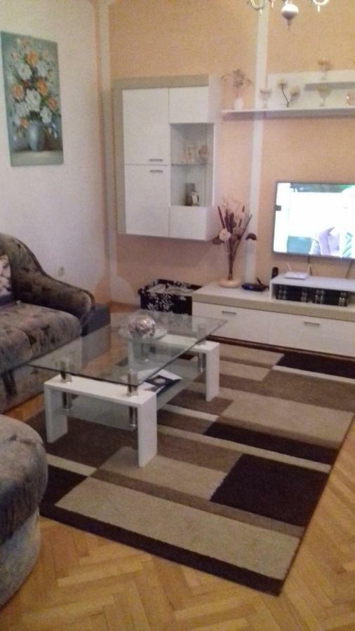 Apartments Desanka ロパール エクステリア 写真
